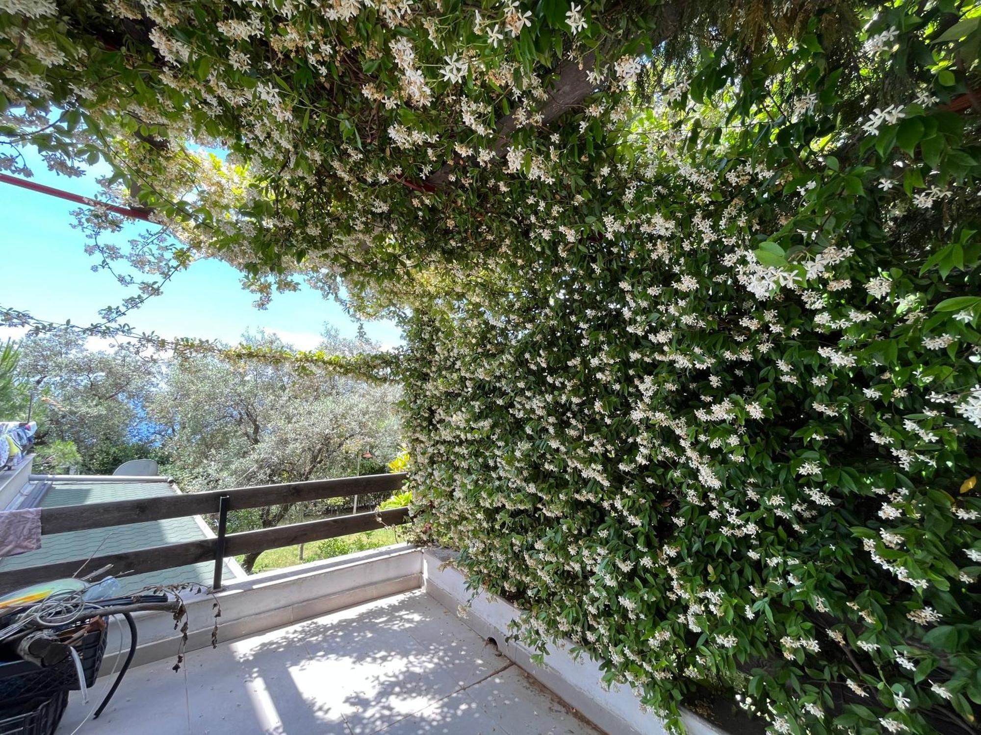 The Olives Terrace Residences Dhërmi Kültér fotó